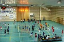 Concentración de Minivoley 