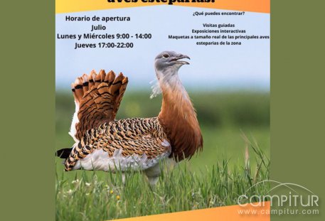 Este verano, elige naturaleza: descubre el Centro de Interpretación de Aves Esteparias en La Granjuela 